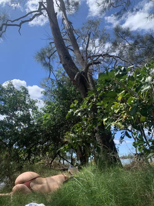 nature brings out the most intimate feeling in me by Diligent_Memory5906