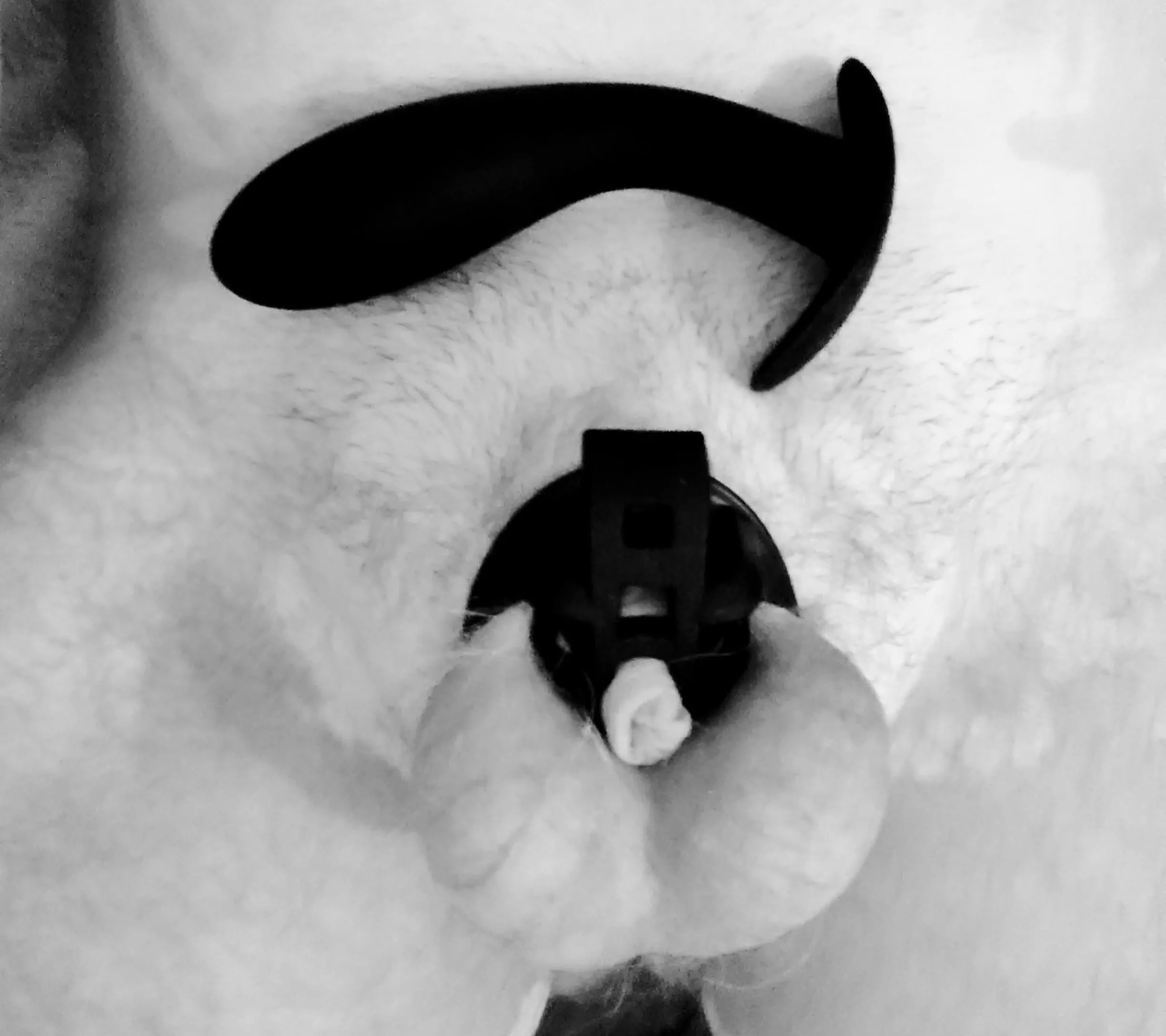 one of the few moments it isnt in my ass 😳 posted by ImagineChastity