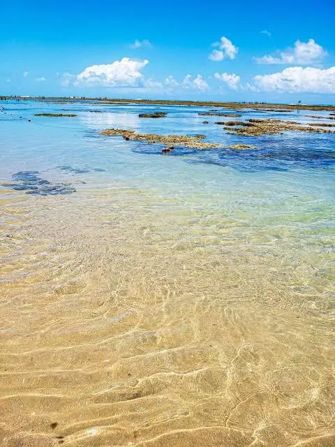 Porto de Galinhas posted by abiancaramos