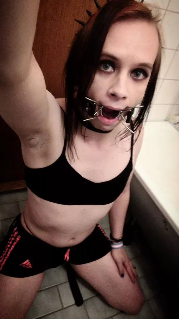 Swedish tranny into BDSM and dollification and bukkakke, send me your worst posted by MonsterDiscoHell