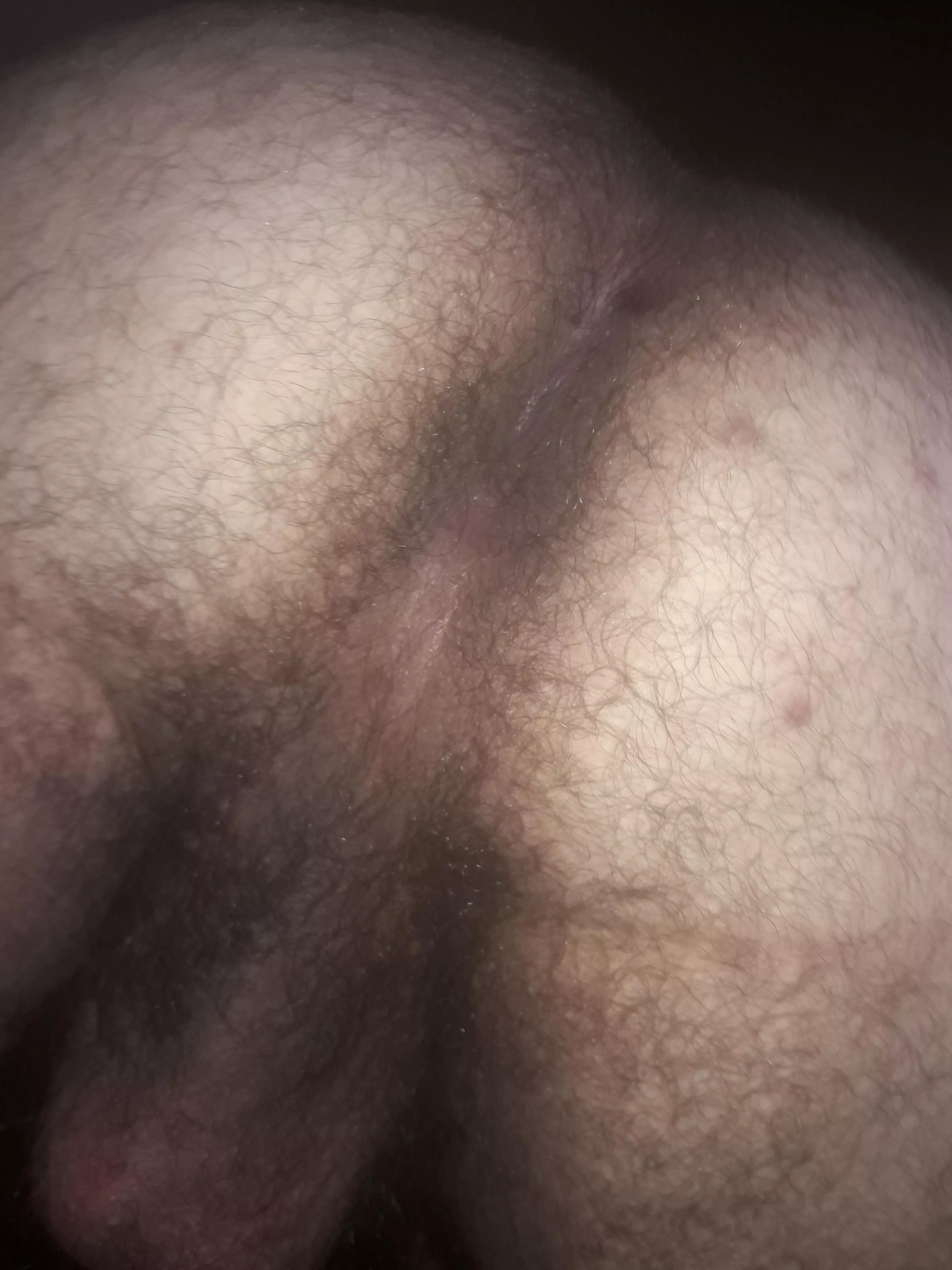 up close posted by bushycub