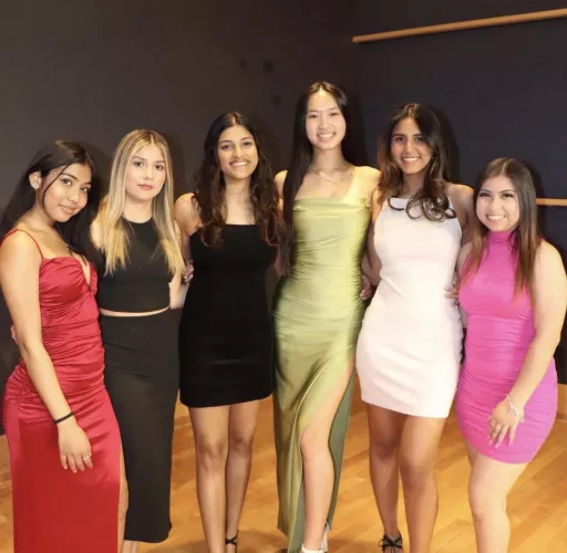 Which one are you taking home? by Turbulent_Witness_79