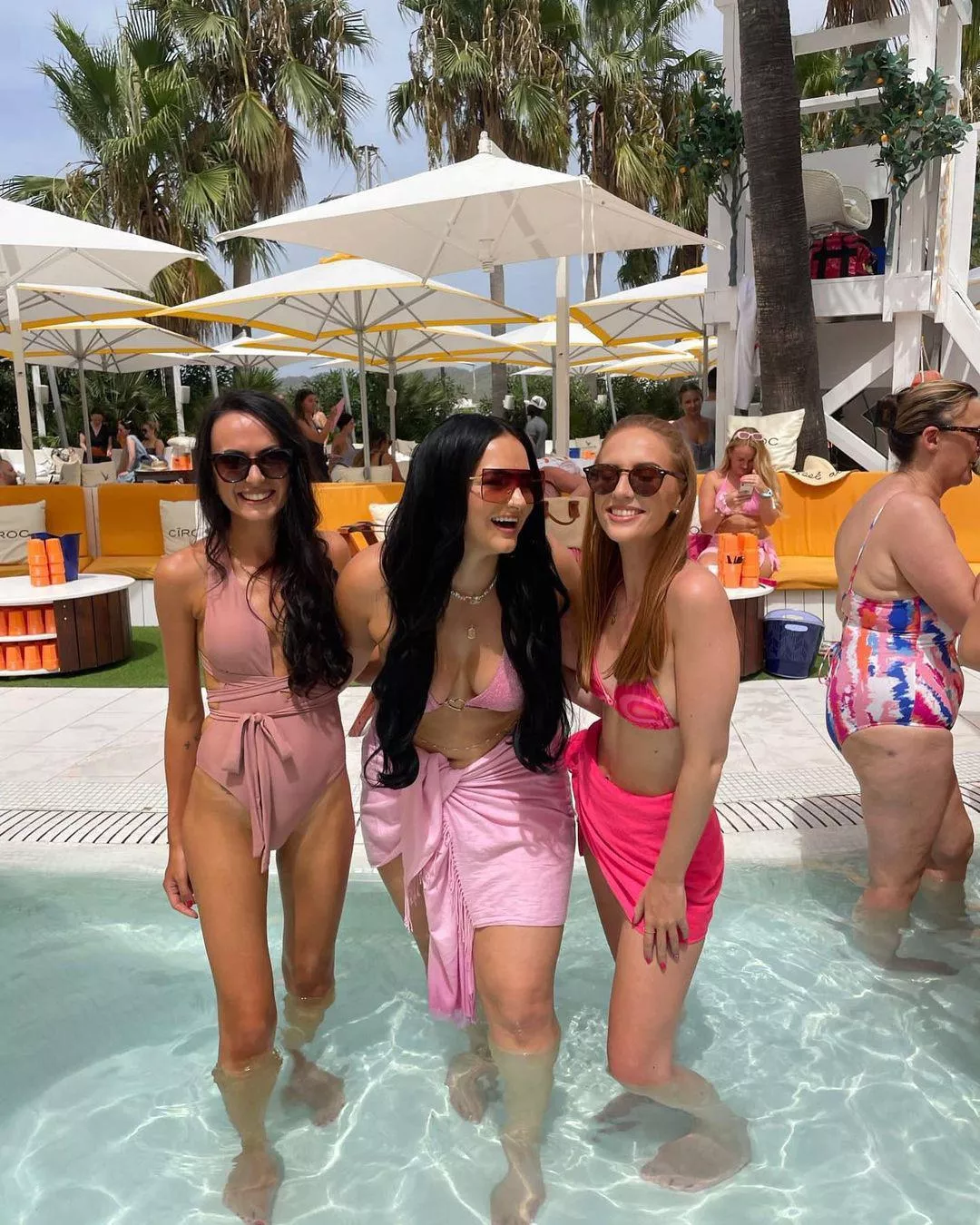 Which one? posted by Itchy-Remote-4762