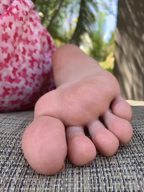 Would you lick down my arch? by Evelyn__feet