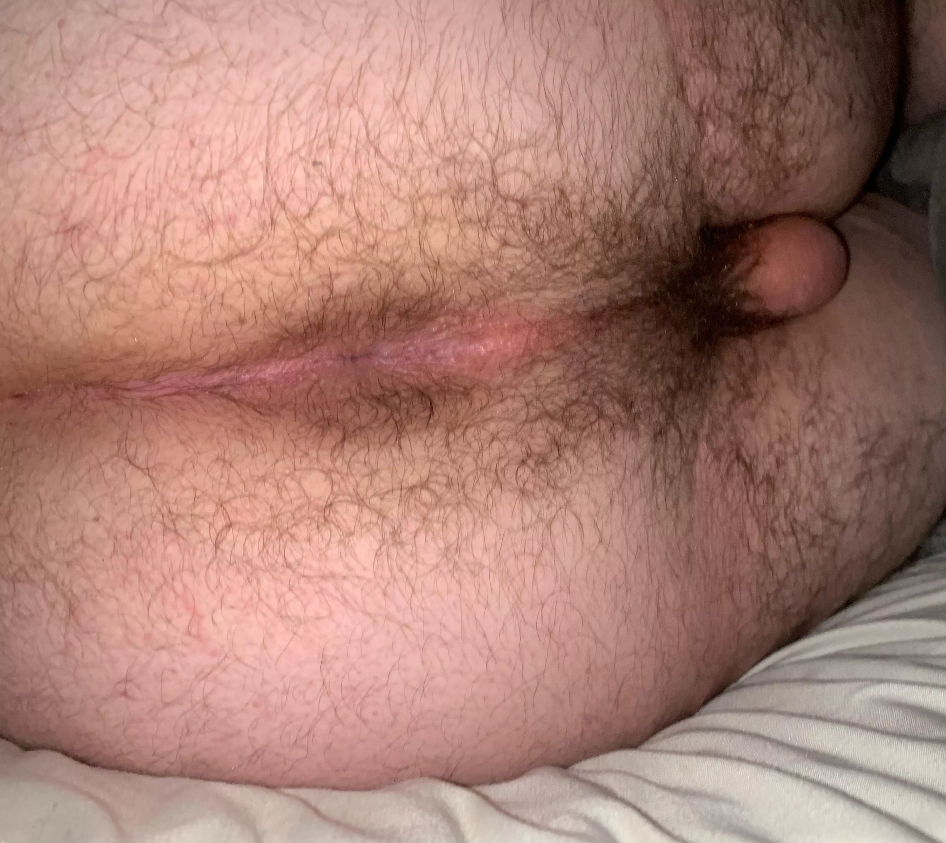 18m willing to experiment posted by Hefty_Warthog4403