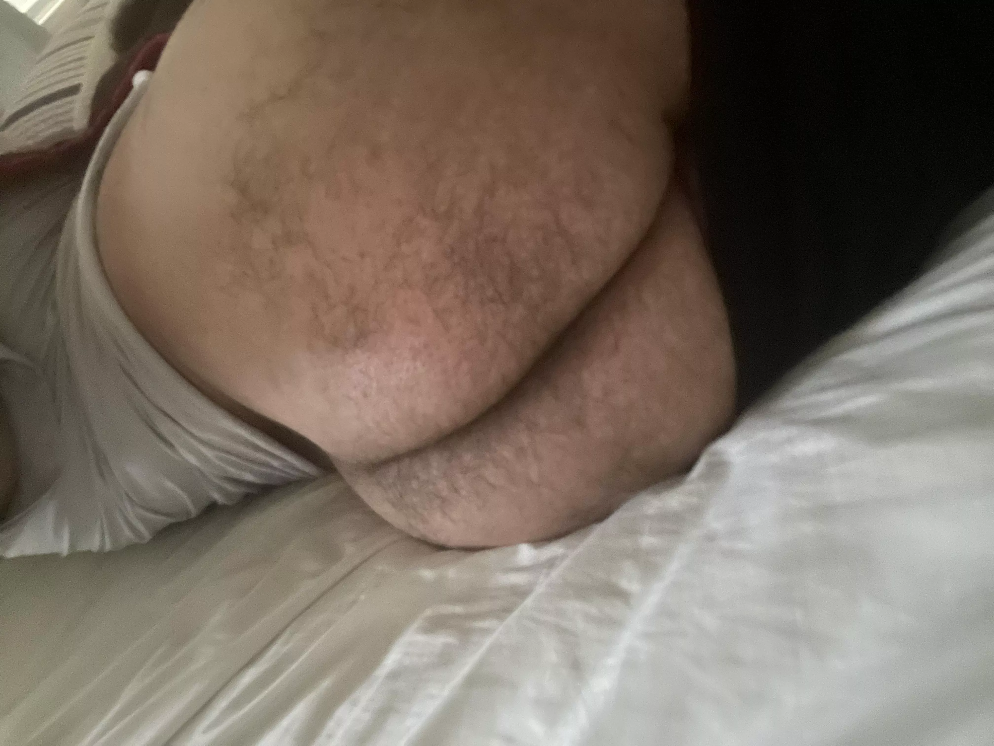 About to take a nap… posted by Cultural-Fig6907