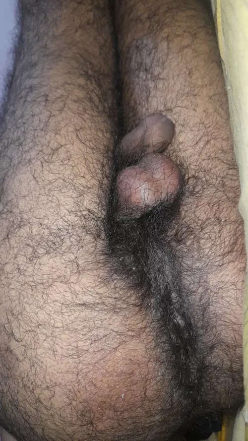 all way bush by rohitp90