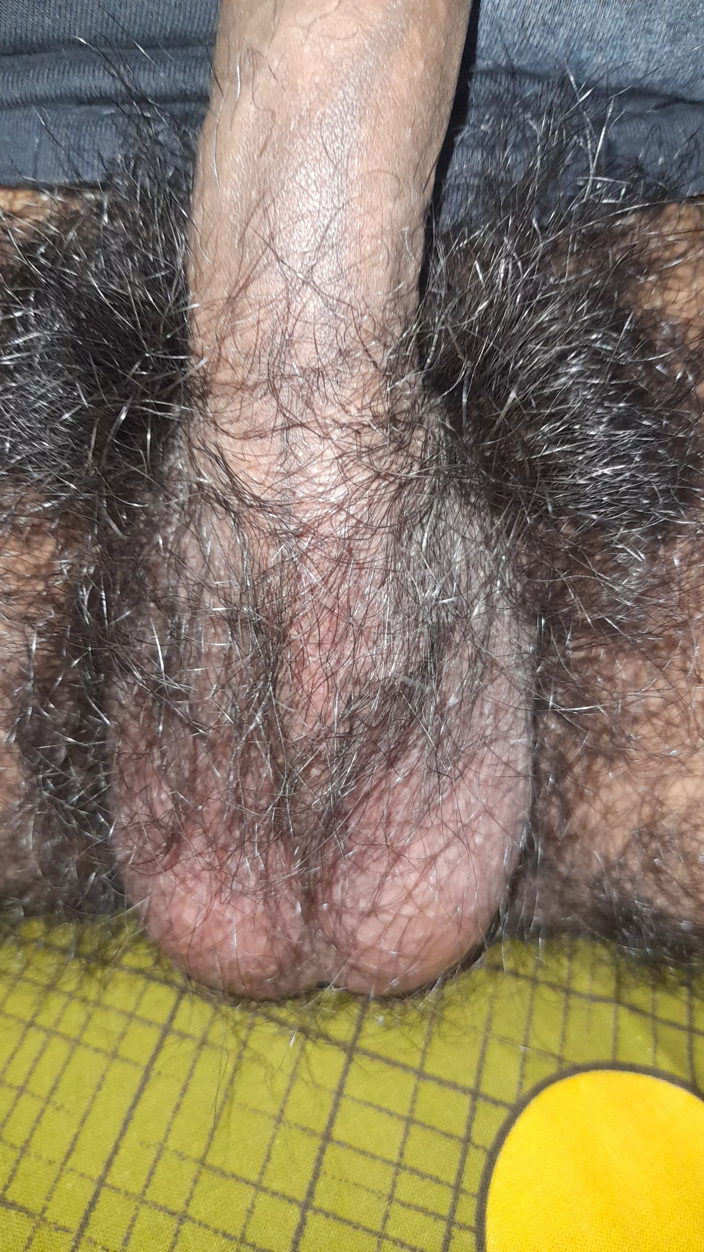 balls hiding in bush posted by rohitp90