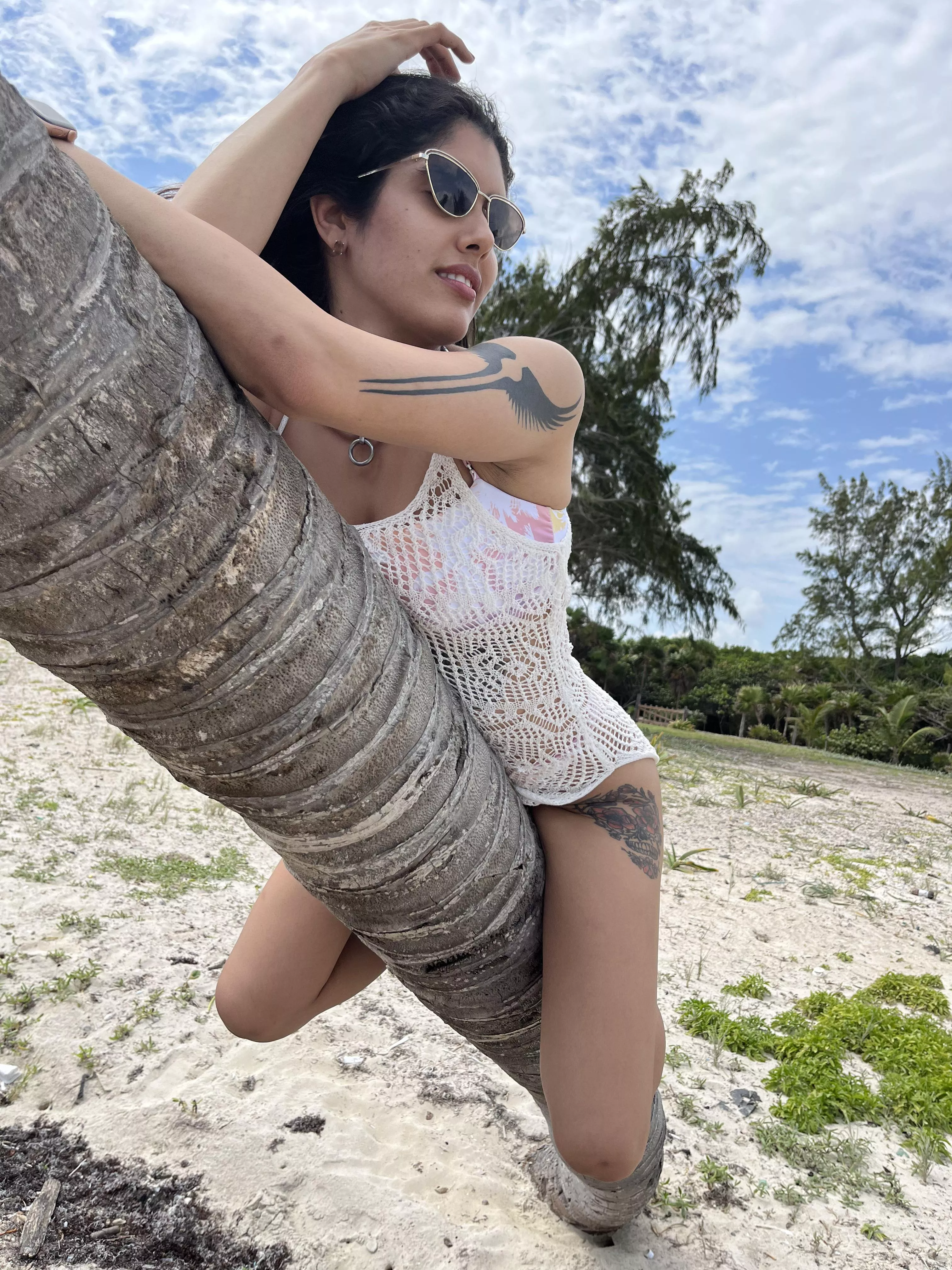 Found a palm tree while walking at the beach. posted by RevolutionaryEye375