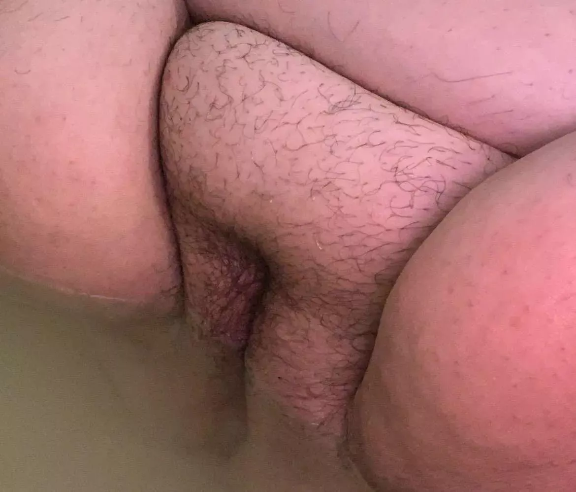 Hairy or bare? posted by Scumcoffin