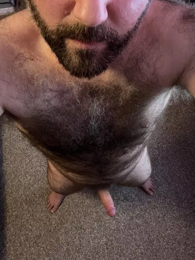 Hope you like it posted by Low-Donkey6520