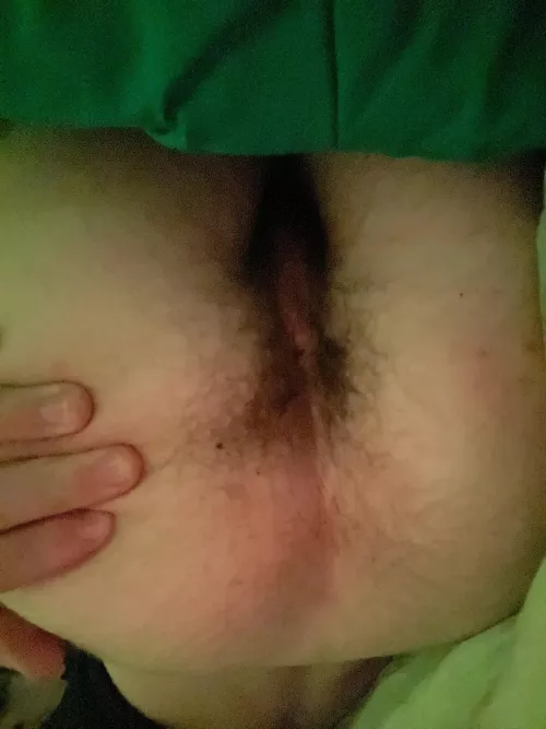 Id hate to get rid of the bush down here, thoughts? by bigschmeat54