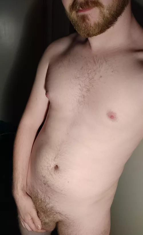 in need of a fun bear to hang out with ;) by pyroanno