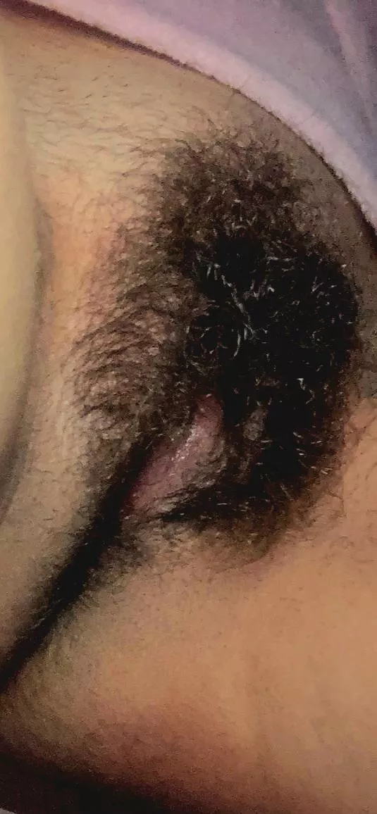 is this hairy enough for you?? posted by lickedysplittt