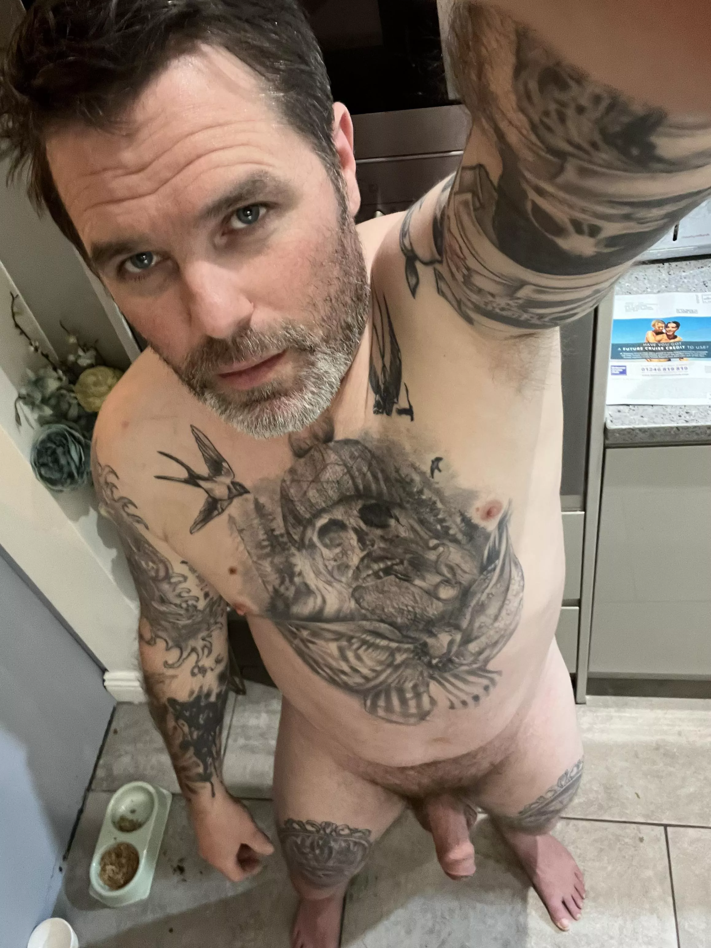 Just getting in the mood posted by DipYourButter-17