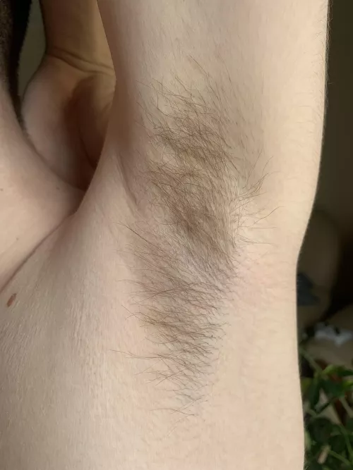 Lick or Sniff? by Mark_Silver01