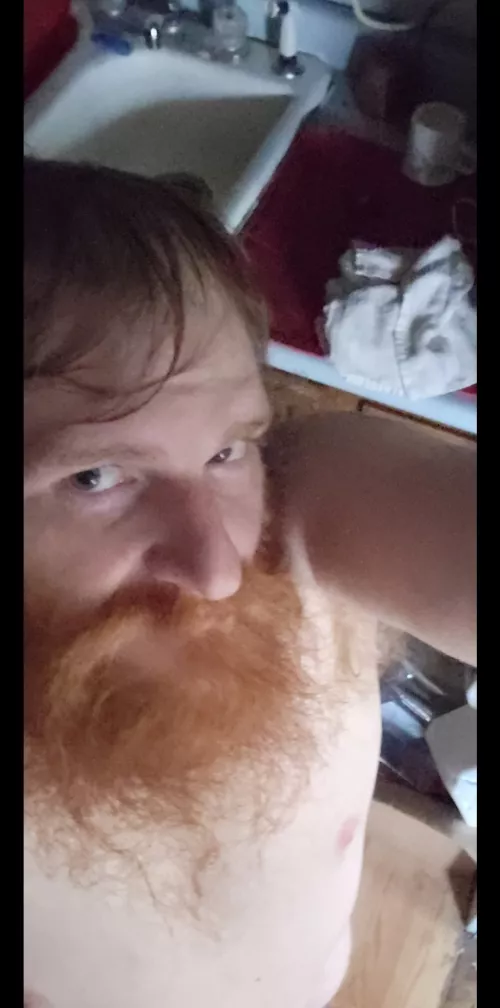 more to come by deansalvitore