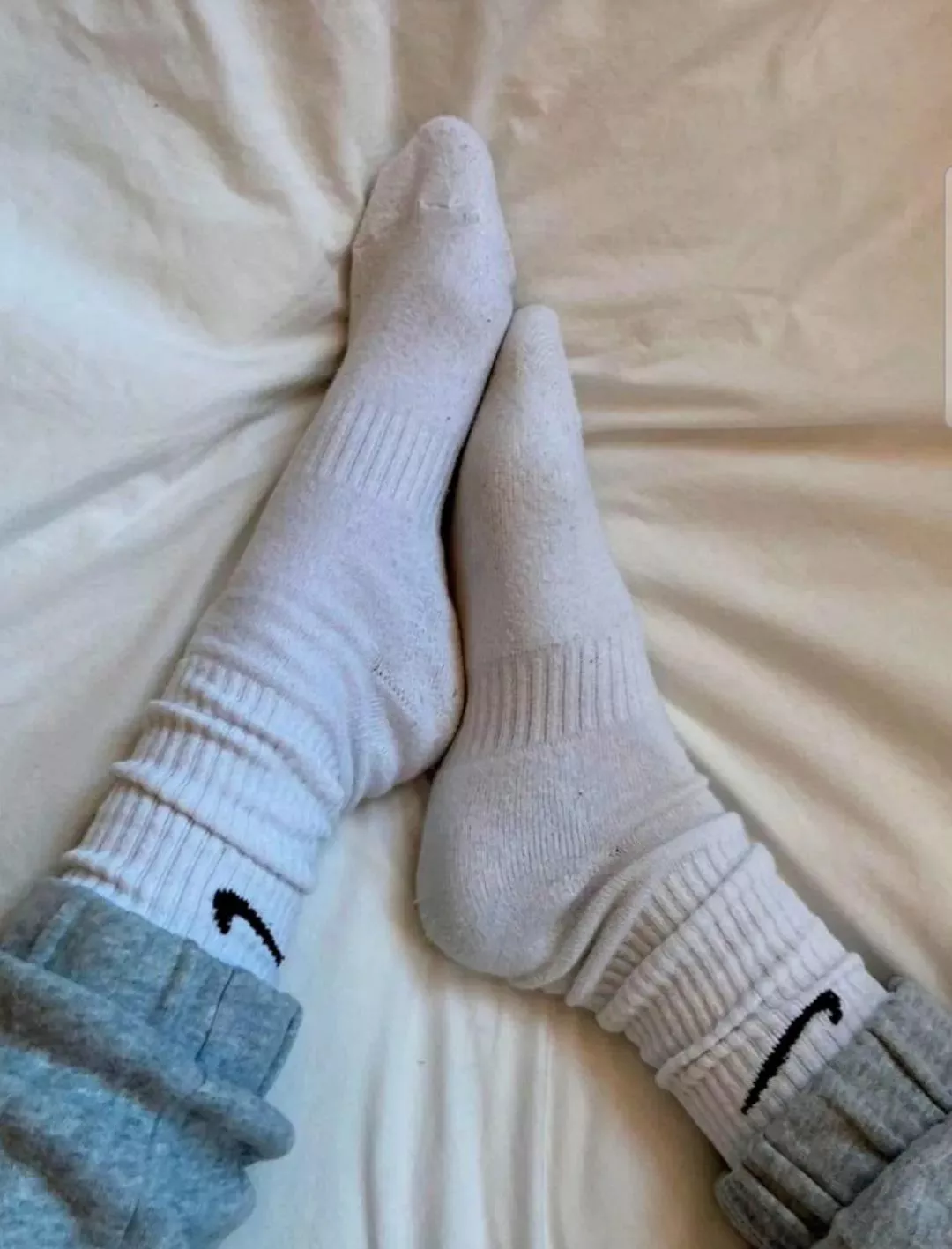 morning posted by socksknight