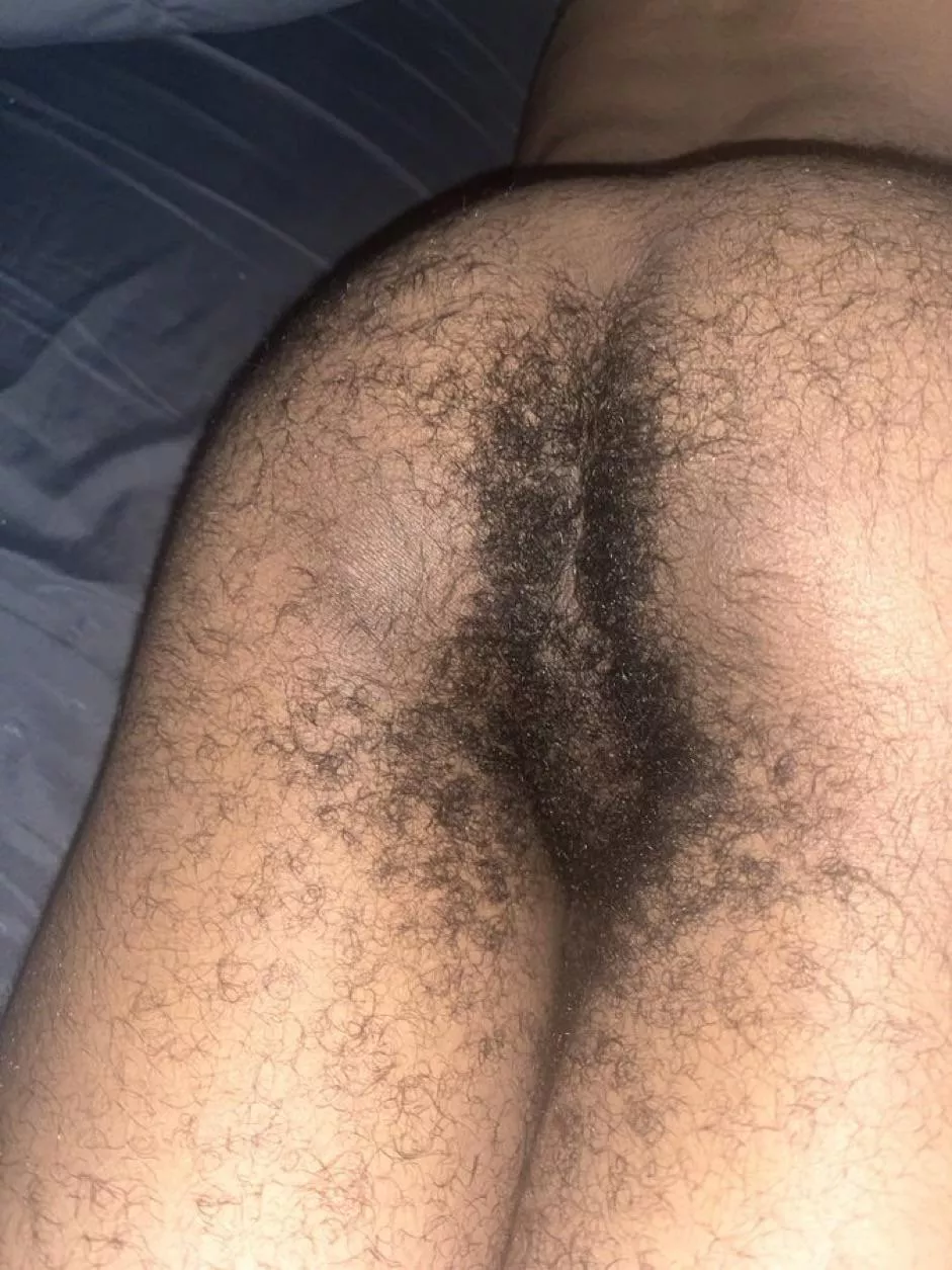 Nothing better than a hairy ass posted by confusedindenial