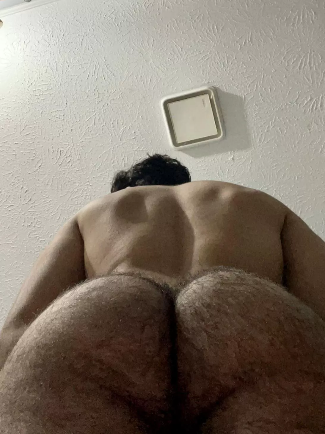 POV I’m about to sit on your face posted by north_jupiter
