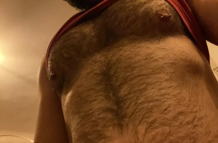 Pumping the chest non-stop by princealbert_idf