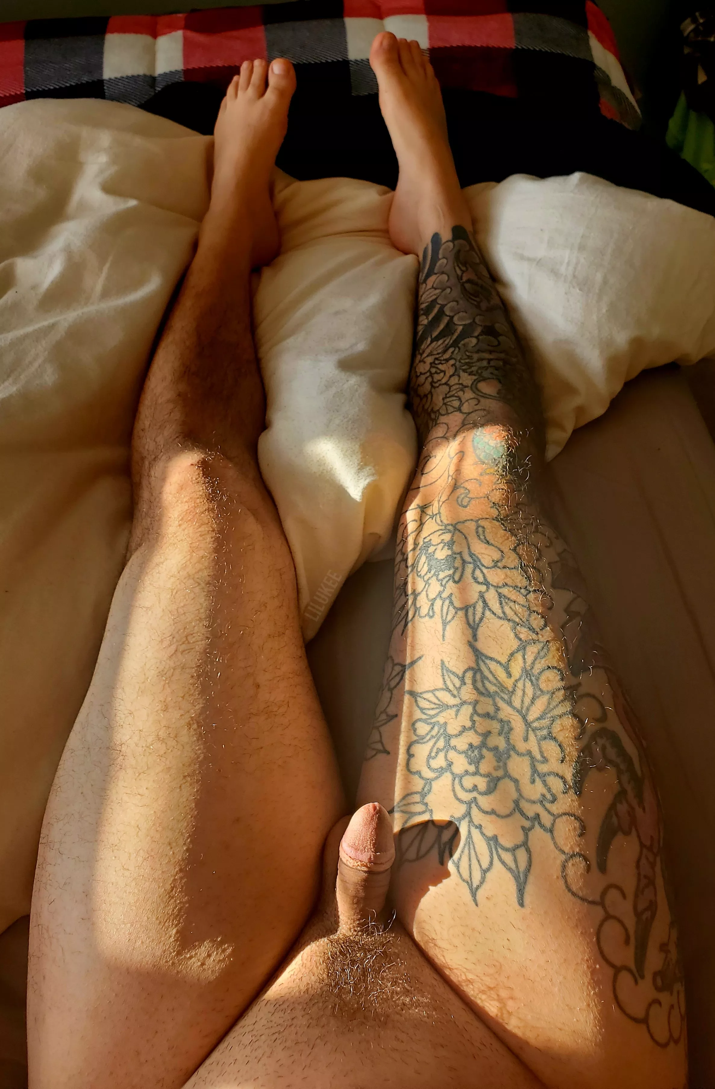 small little softie warming up posted by lilukee