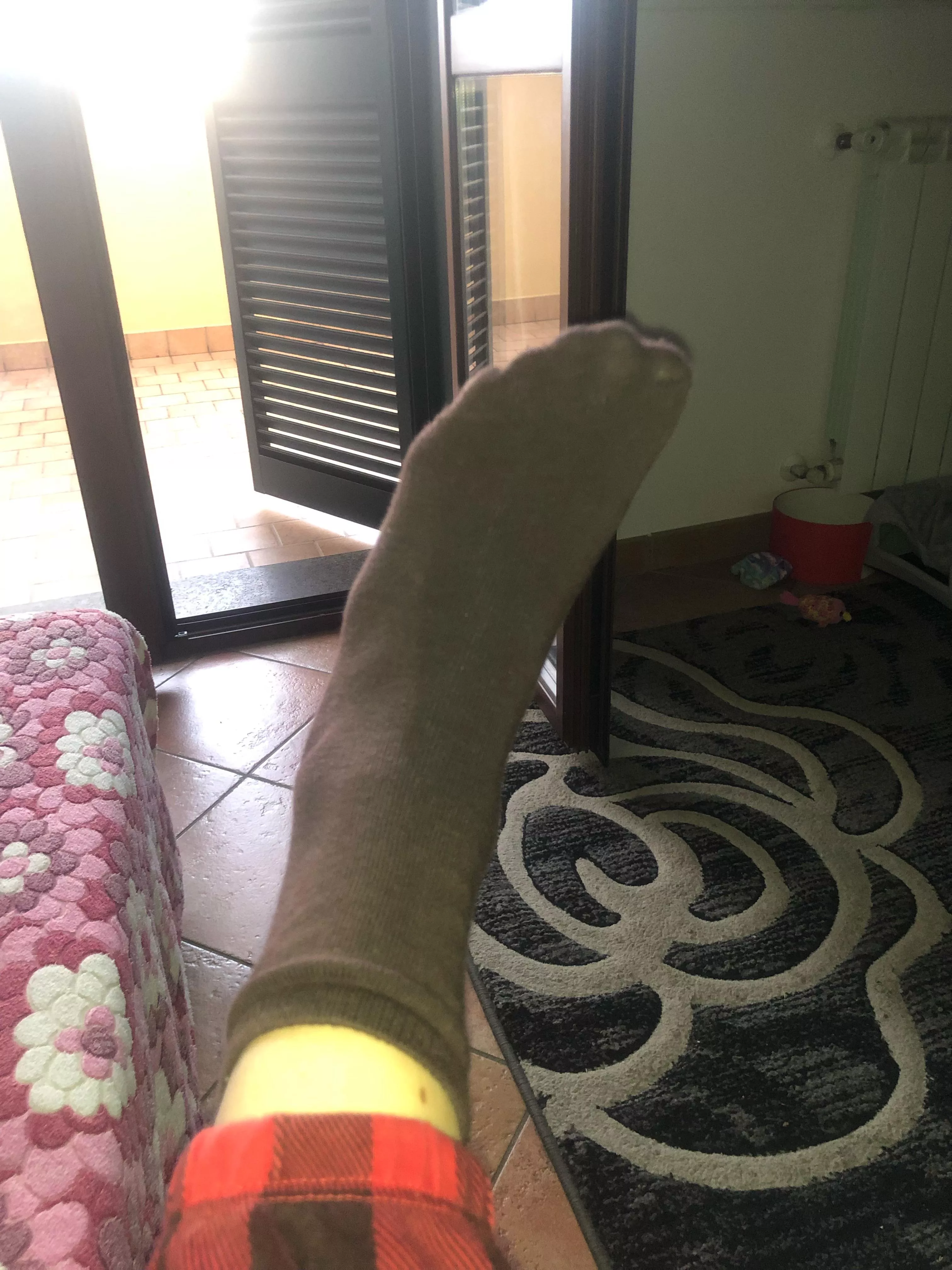 Sniff please posted by Sofy_Sofy