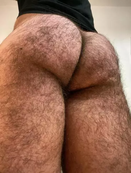 Sniff sniff by ceasarguccio