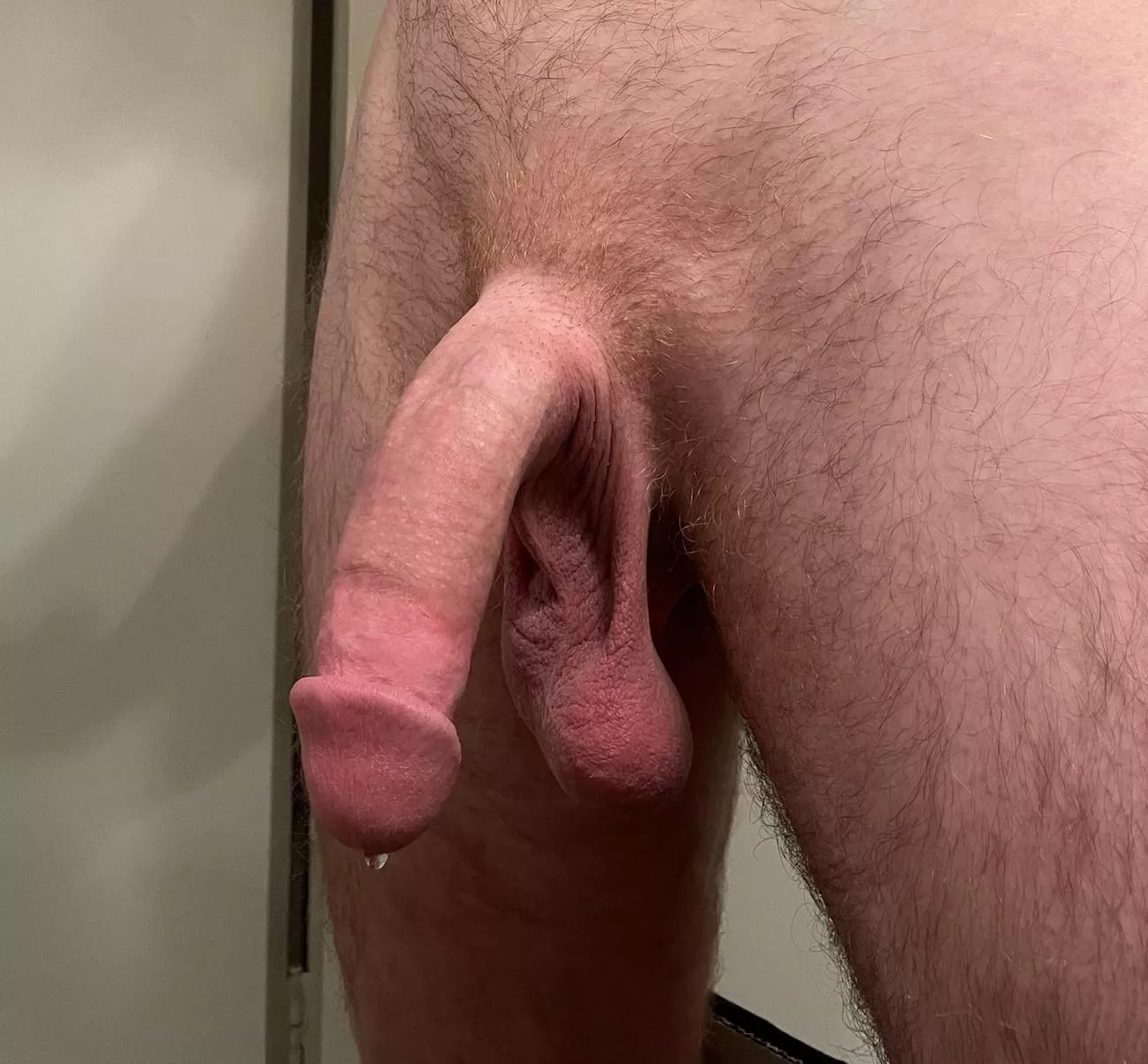 softie precum posted by acceleratedcreek