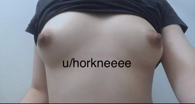 Suck on my perky tits while I ride you? posted by Horkneeee