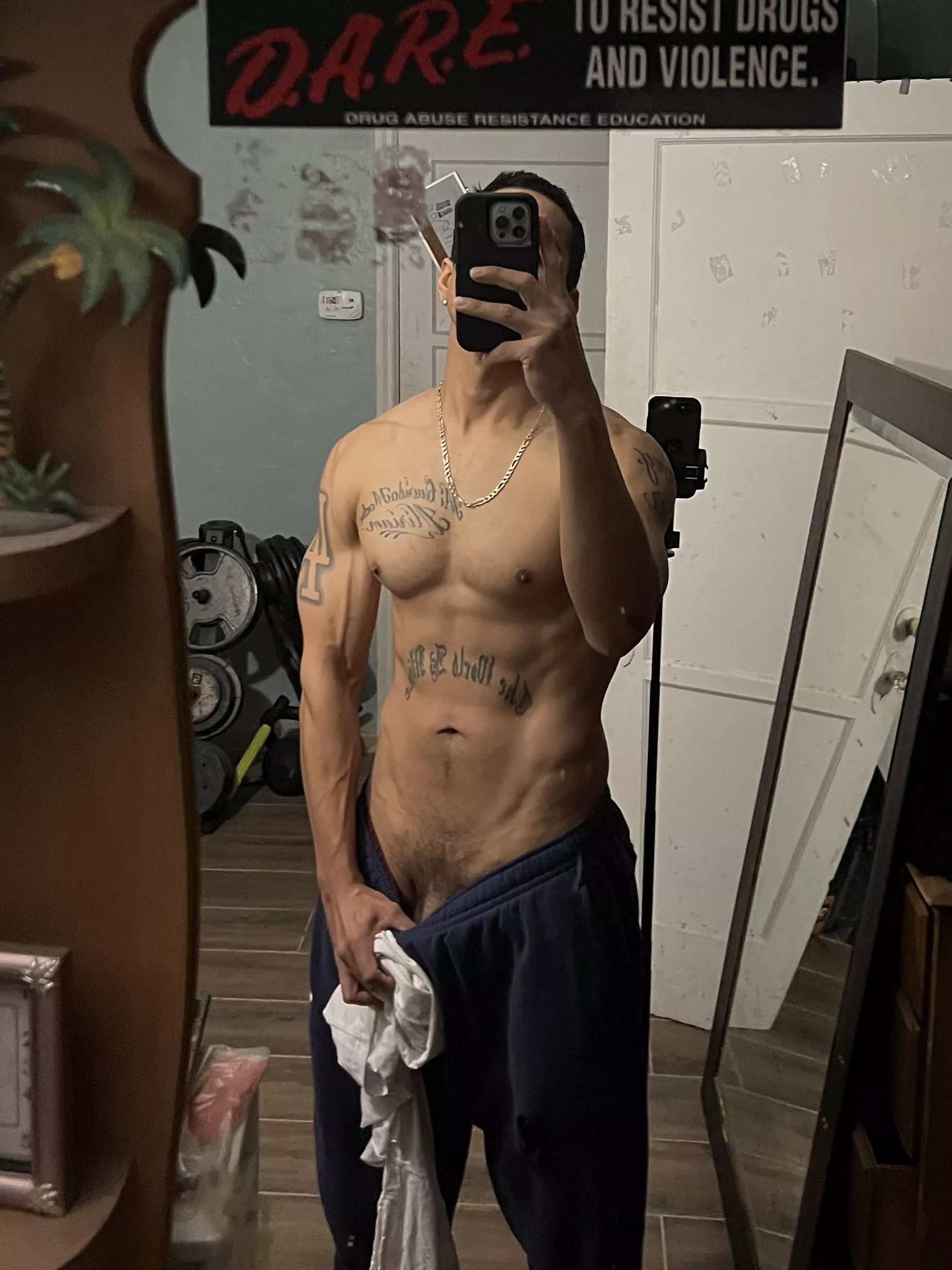 Want to add 15 more lbs of muscle. posted by KingAdonis06