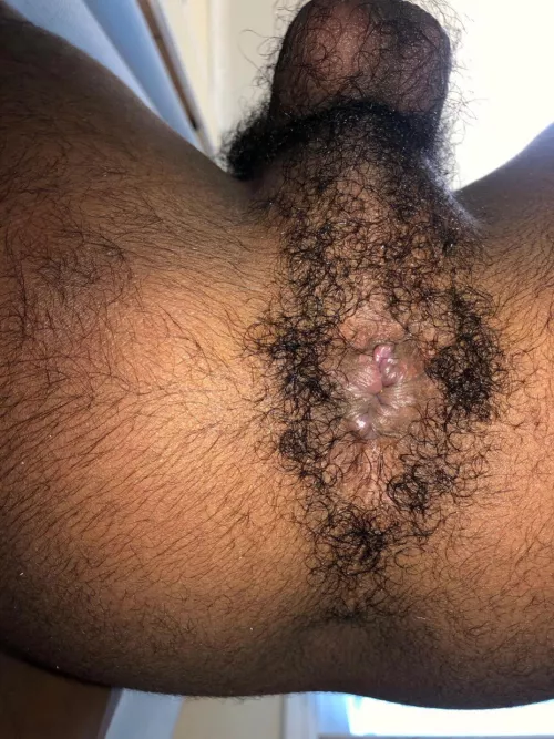 Would you lick my hairy hole? by confusedindenial