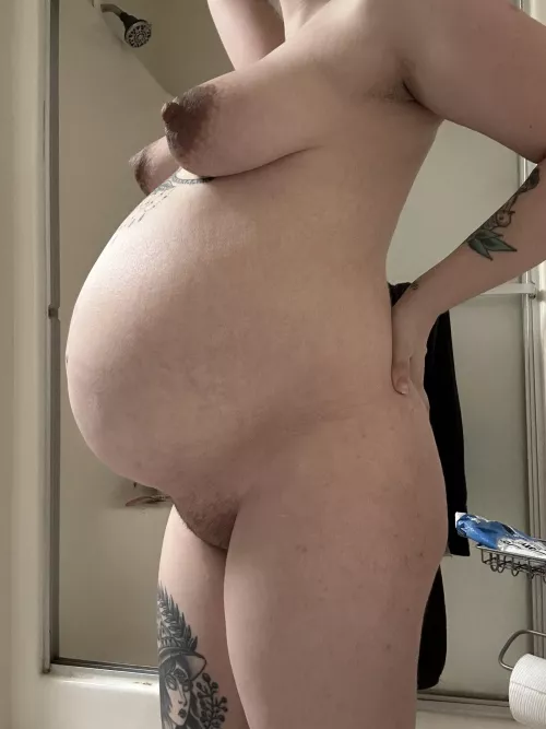 2 more weeks.. i can’t wait to start breeding again 🙈 by Sad_Explanation_5000