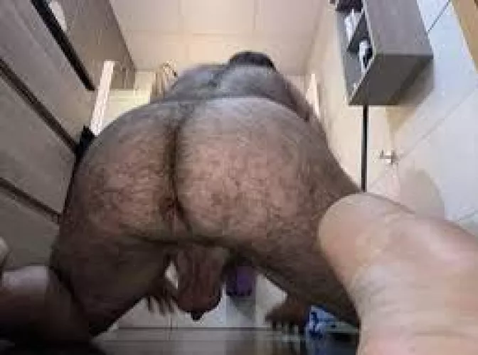 Big fat hairy! by Feisty_Afternoon_782