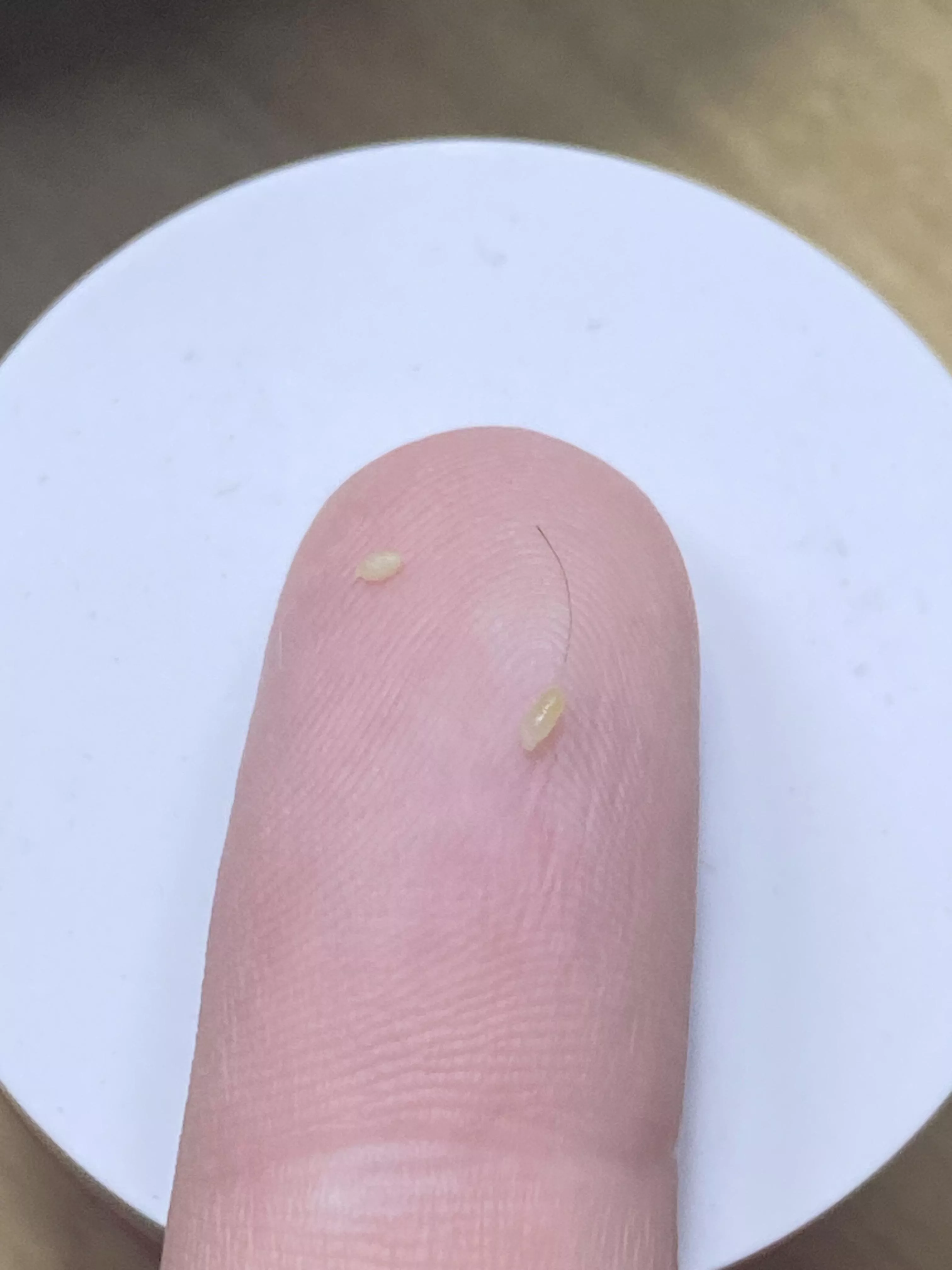 Didn’t get it on video but it was a satisfying pop posted by Dunny_Roll