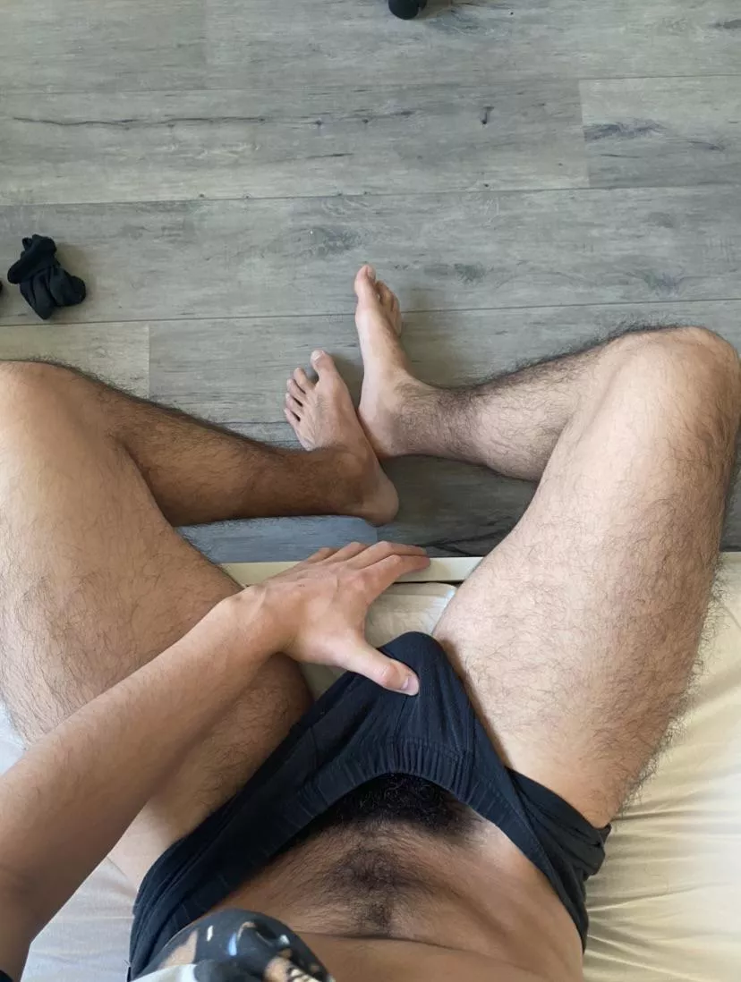 hey guys, should I shave ? posted by civillianonheat