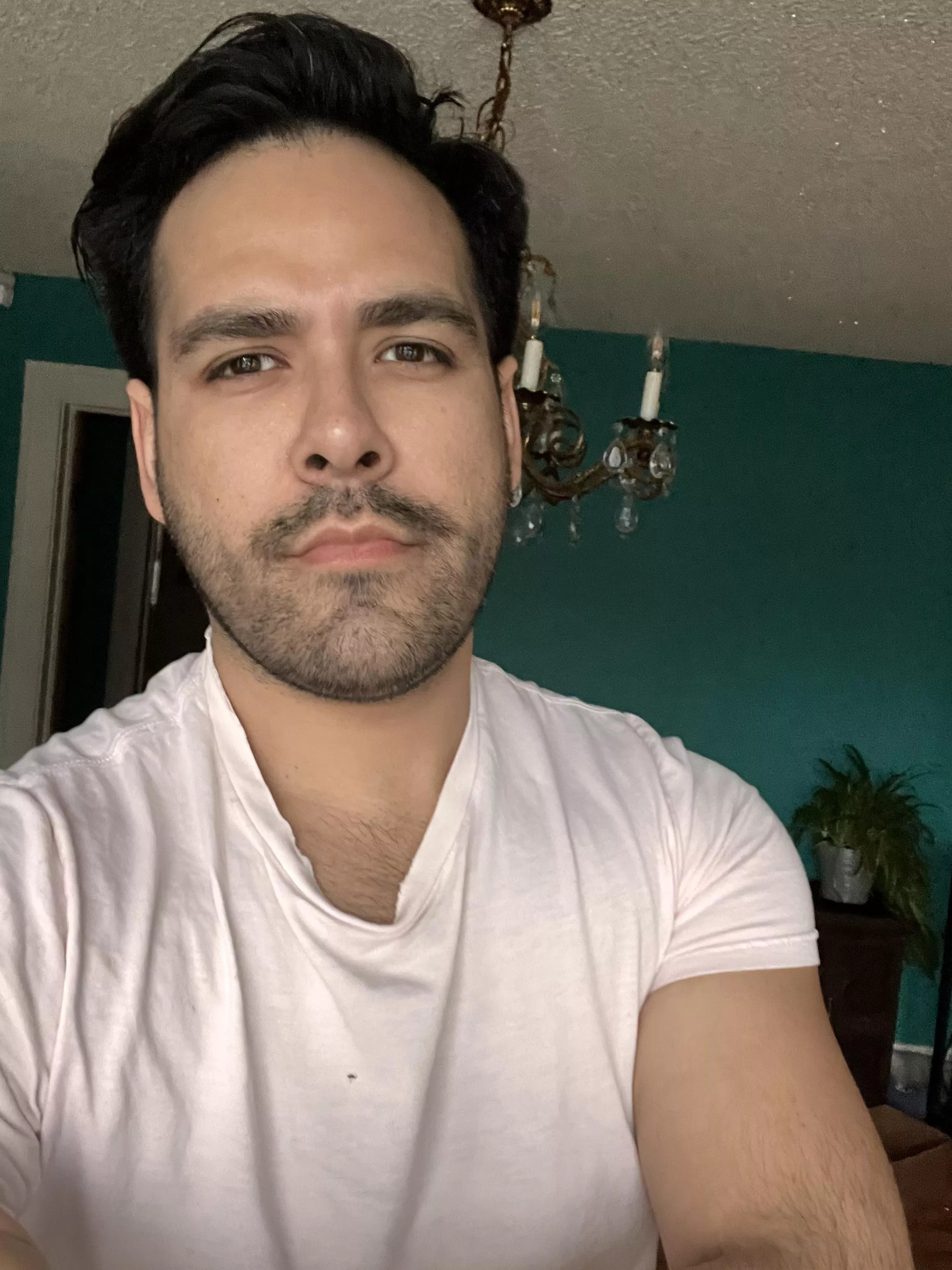 Lazy Sunday , in the mood to cuddle . posted by Narrow_Summer_1647