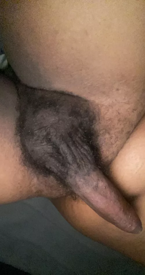 Send me hole pics. Spread those asses for this chubby black bull 😈 by MurkyAcanthaceae9035