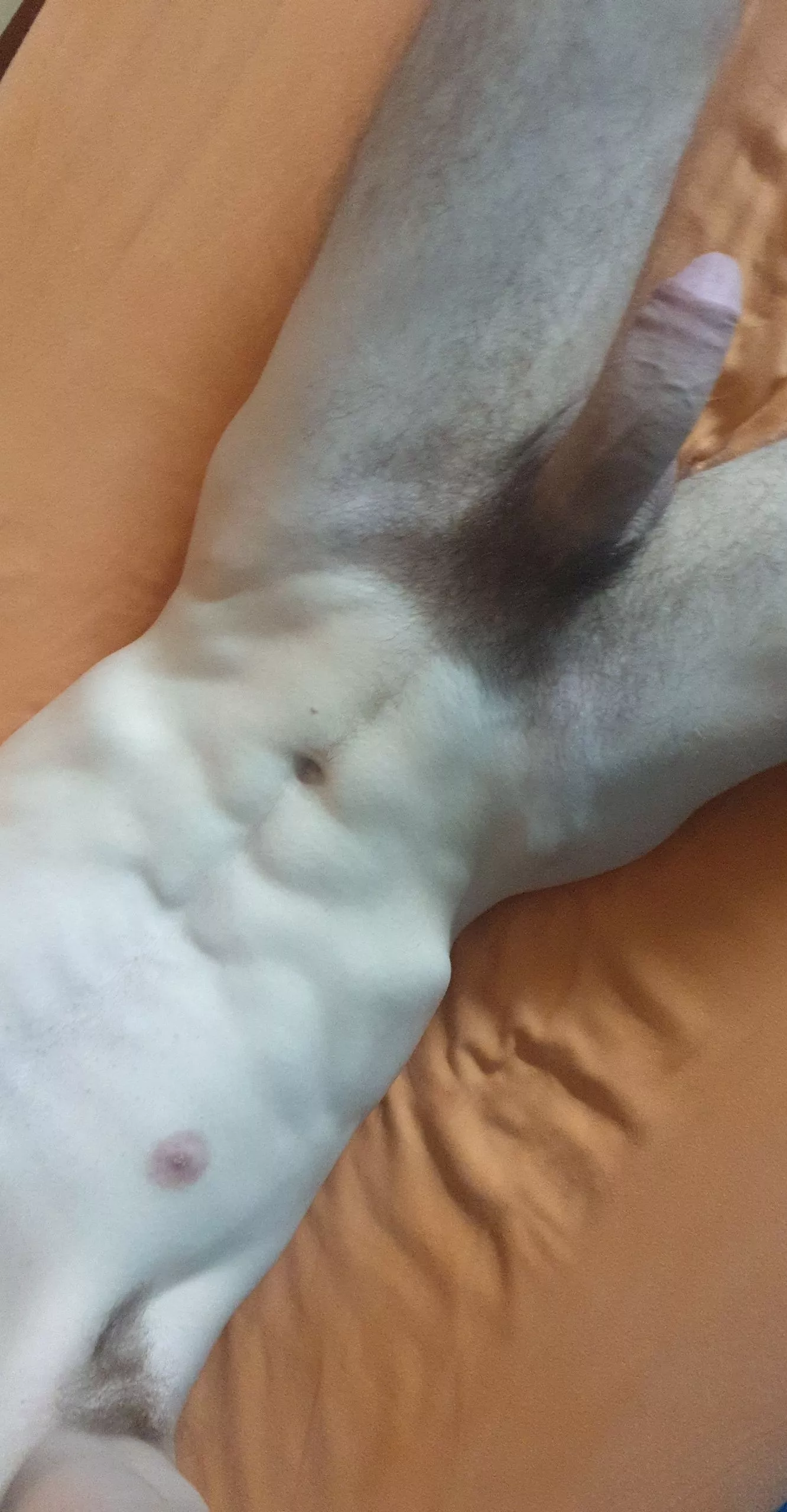 23 sending dickpics to everyone, screenshot and share, snap Wefrisu0202 posted by Showtheworld01