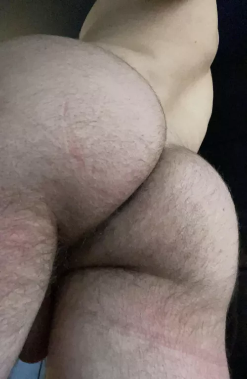 27M fit swimmer body growing into my hair. Looking for hairy older bros/dads. Hung+++ Beard+++ Fit+++ DM me by TastyMango_9er