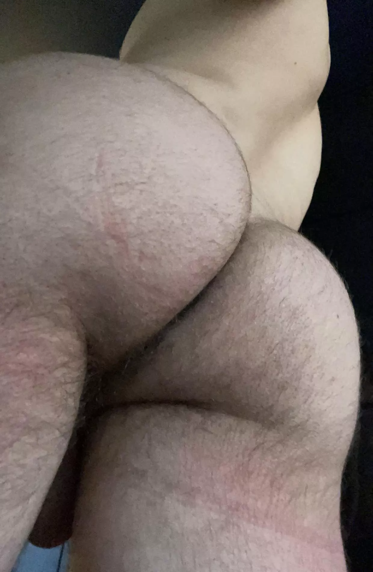 27M fit swimmer body growing into my hair. Looking for hairy older bros/dads. Hung+++ Beard+++ Fit+++ DM me posted by TastyMango_9er
