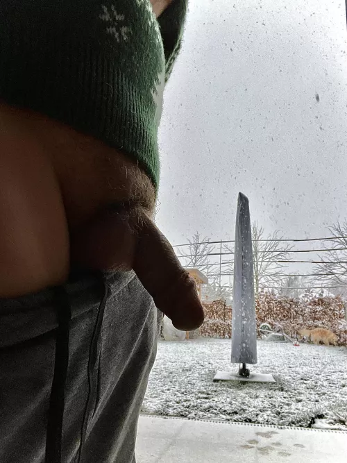 [33] Snow in March. Giving the neighbour something to look at. by bottomdadbi