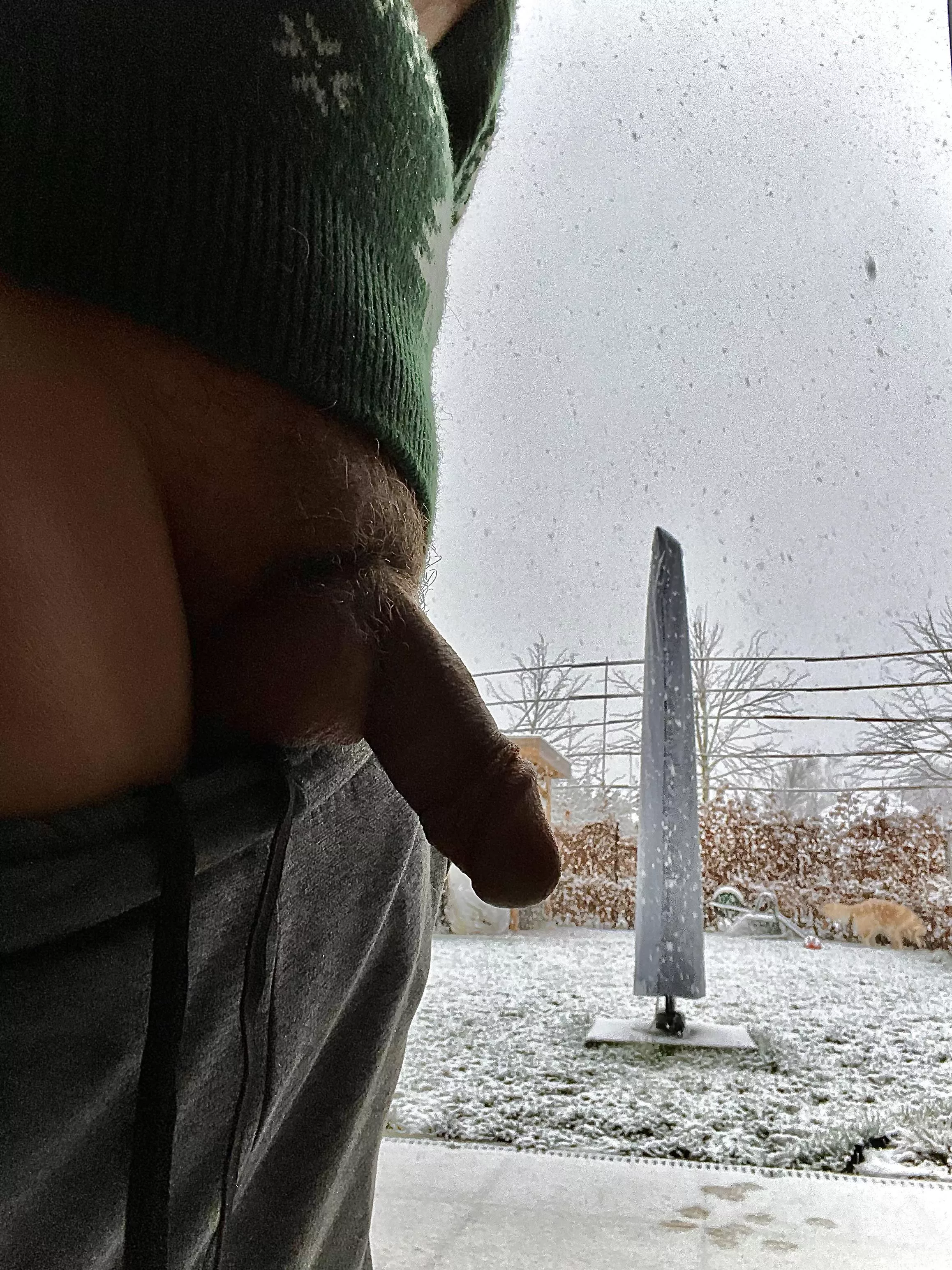 [33] Snow in March. Giving the neighbour something to look at. posted by bottomdadbi