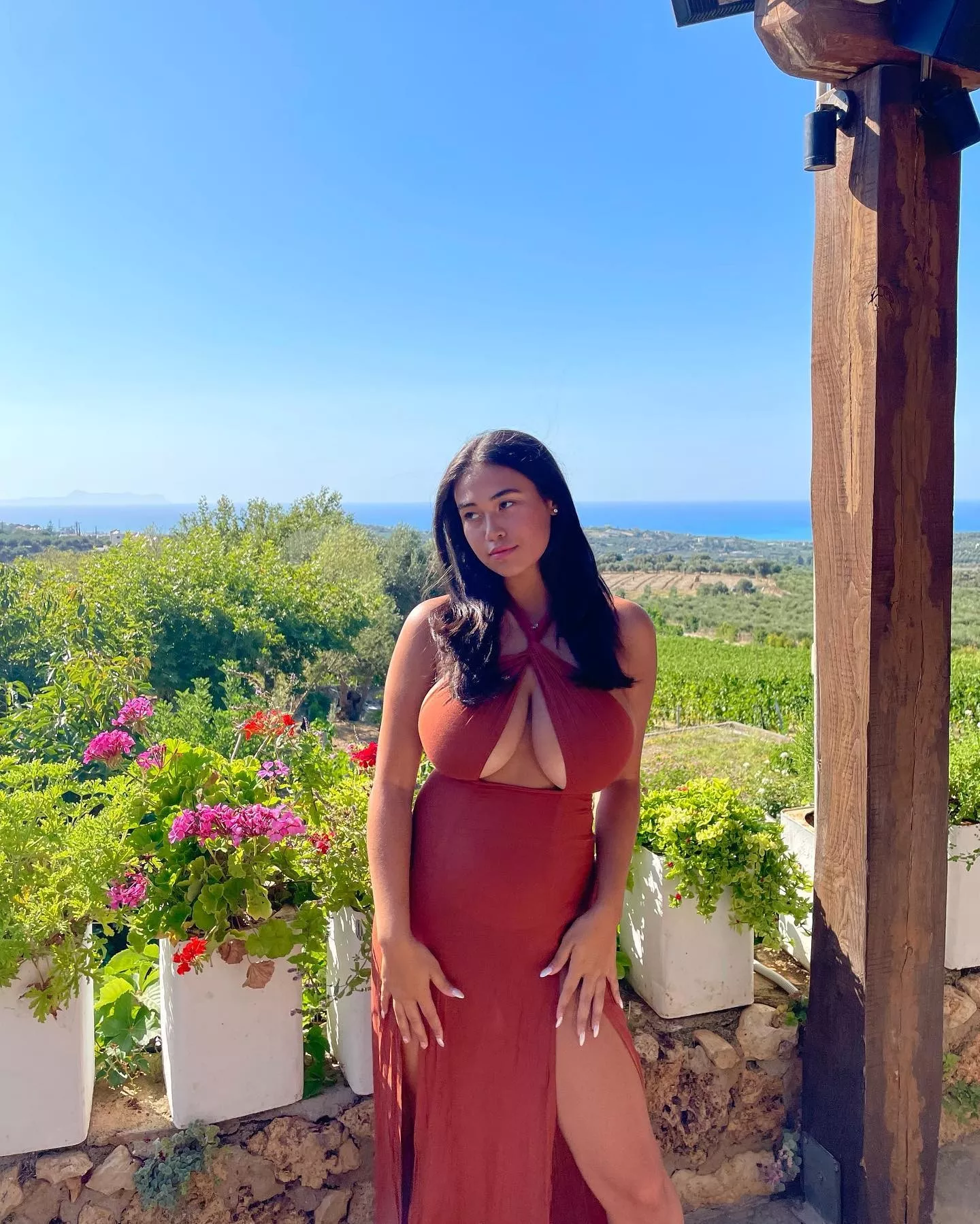 A view over vineyards posted by CatastrophicRelapse