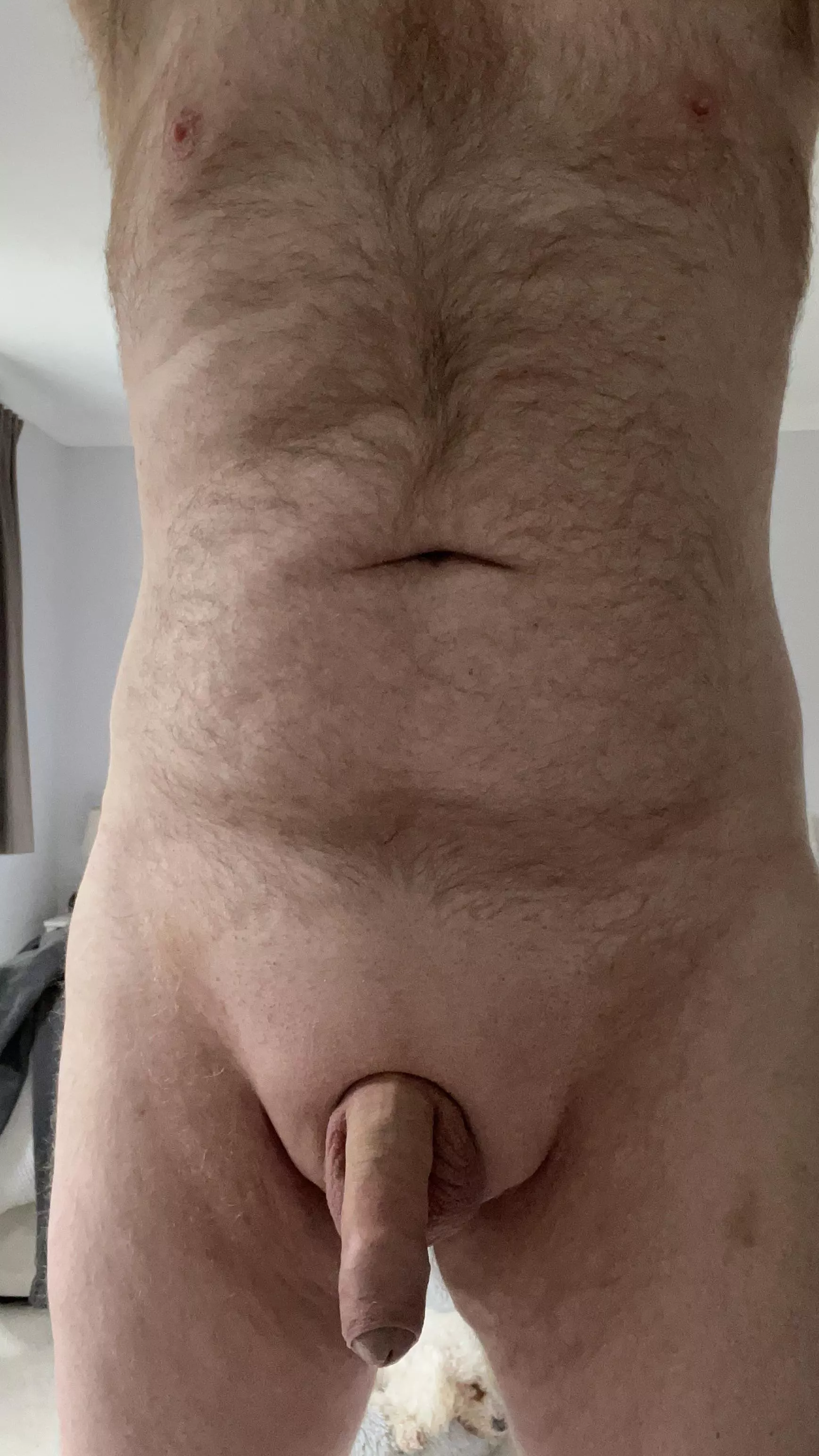 Afternoon posted by conquest-15424