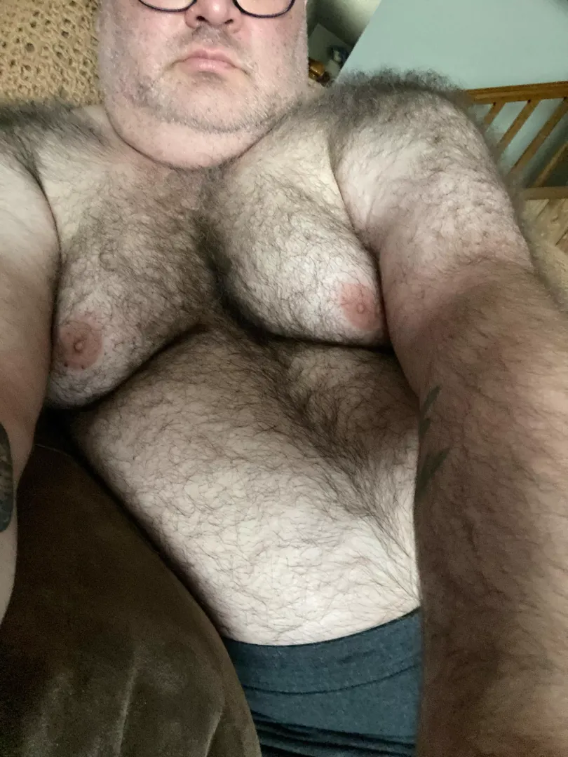 Bear Bottom posted by FuzzBttm