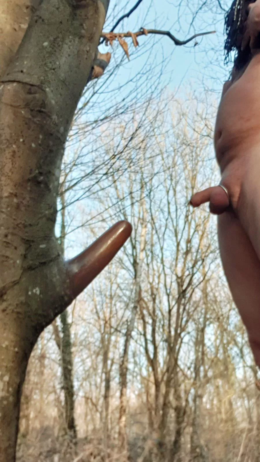 By chance while walking in the woods ... this discovery: impossible to compete with it posted by JoeMarc72