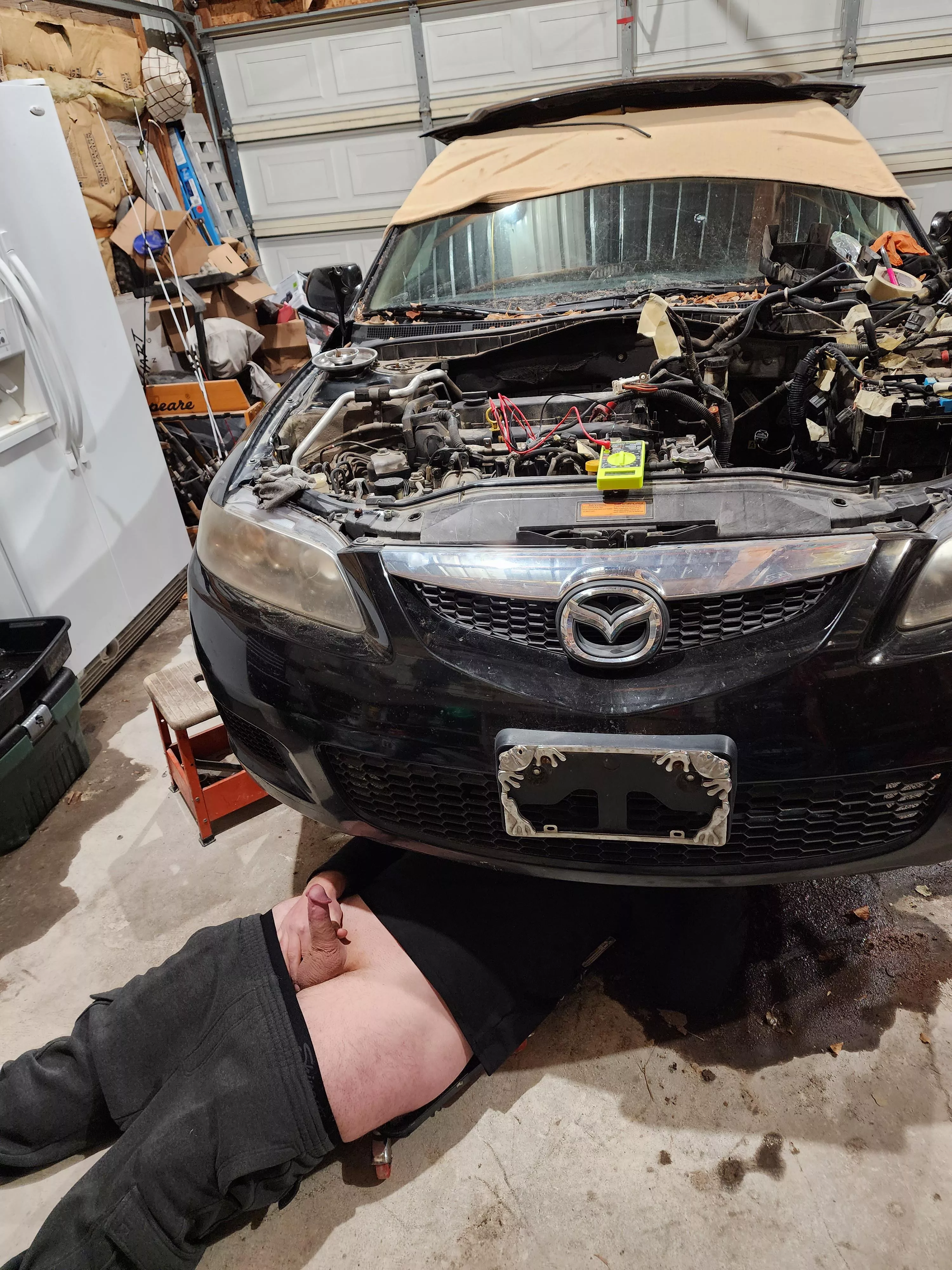 Can someone hold Daddy's (40) tool? posted by Meatbone7