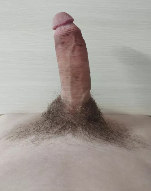 Can you give me a hand?✋🍆 by EmployeeEarly5754