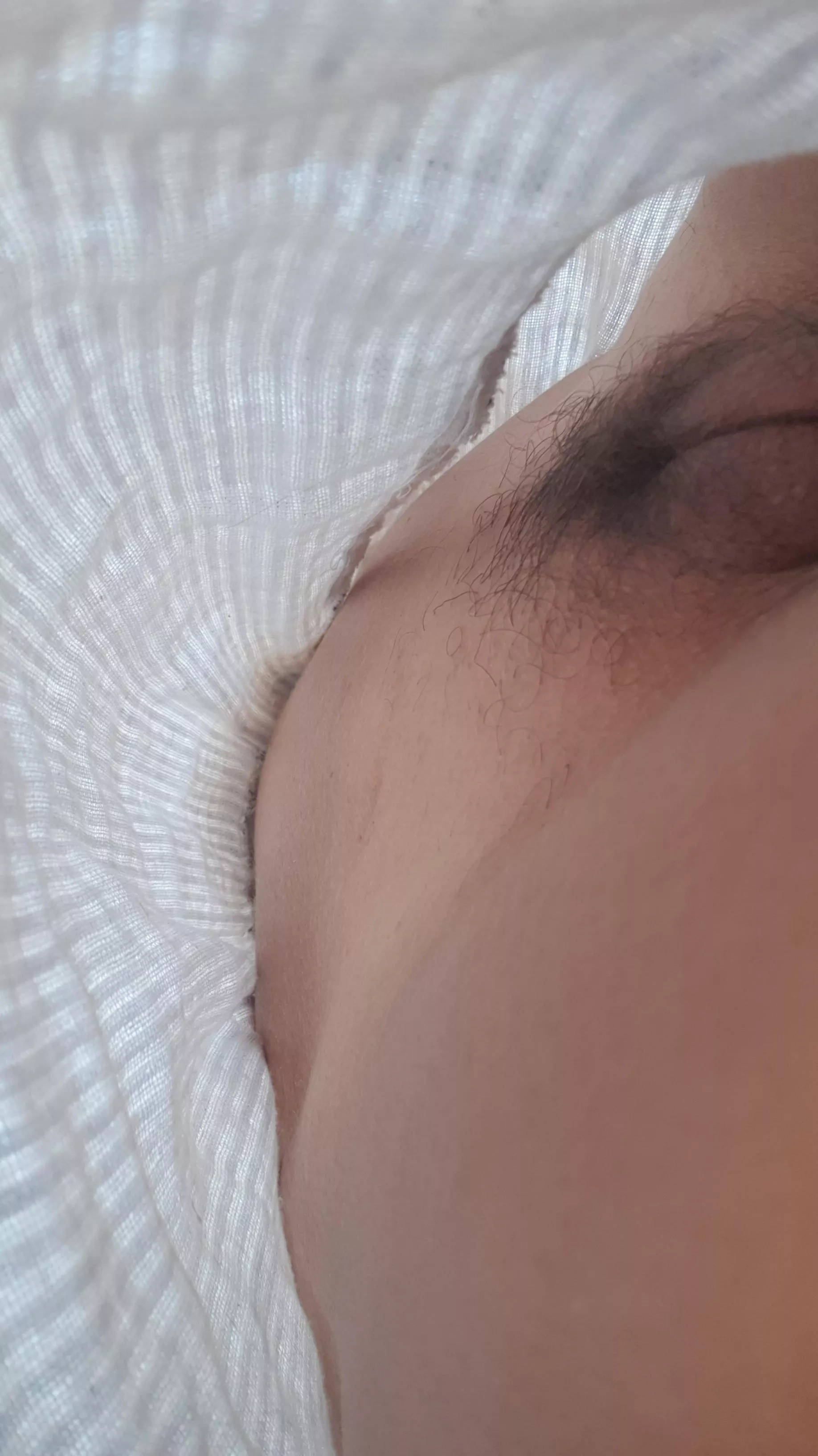 (f)resh air posted by bunchbb